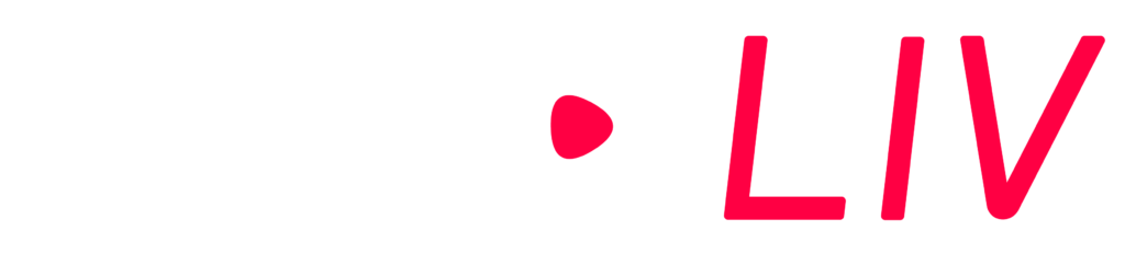 How To Set Up A Live Camera Feed And Webcam Stream In 8 Steps