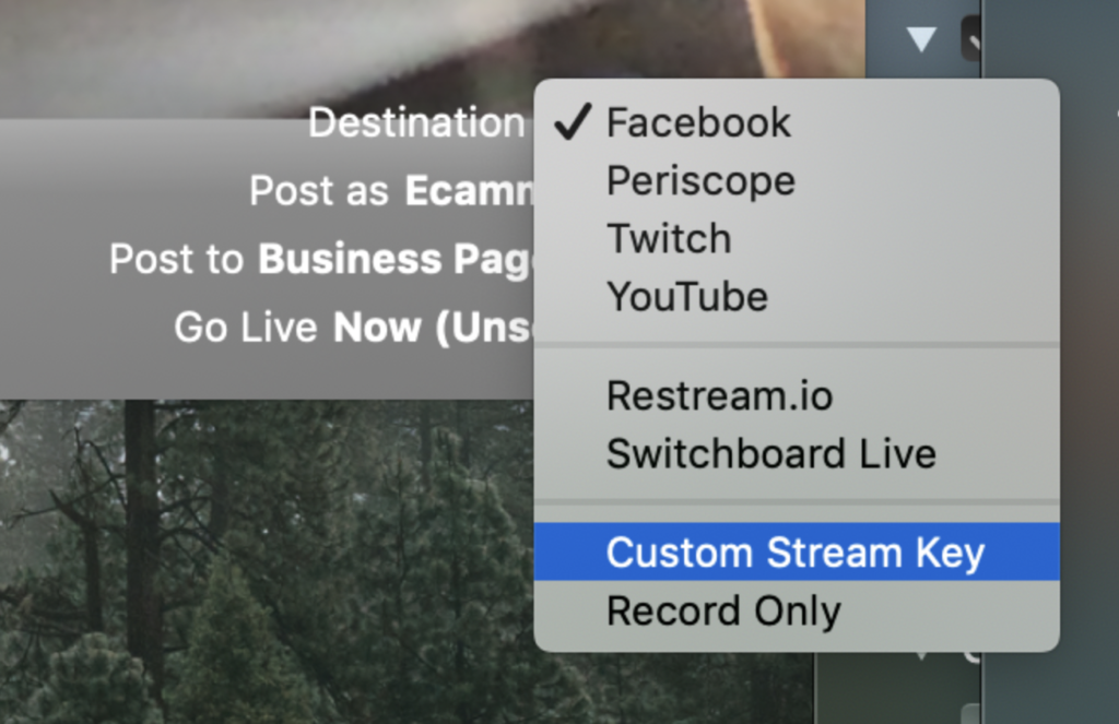 How to Enable Live Streaming on  – Switchboard Live - Help